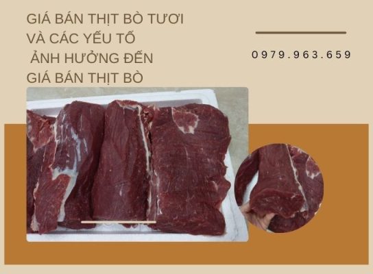 Giá bán thịt bò tươi và các yếu tố ảnh hưởng đến giá bán thịt bò