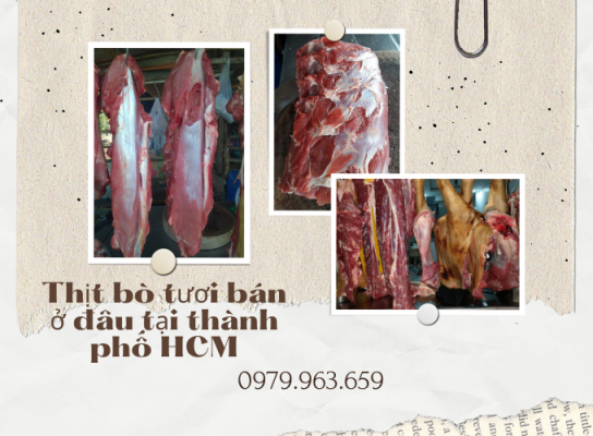 Thịt bò tươi bán ở đâu tại thành phố HCM