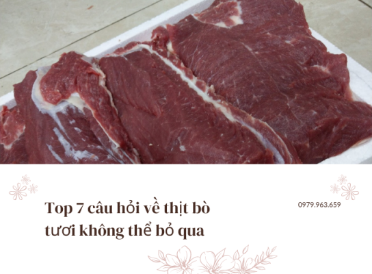 Top 7 câu hỏi về thịt bò tươi không thể bỏ qua